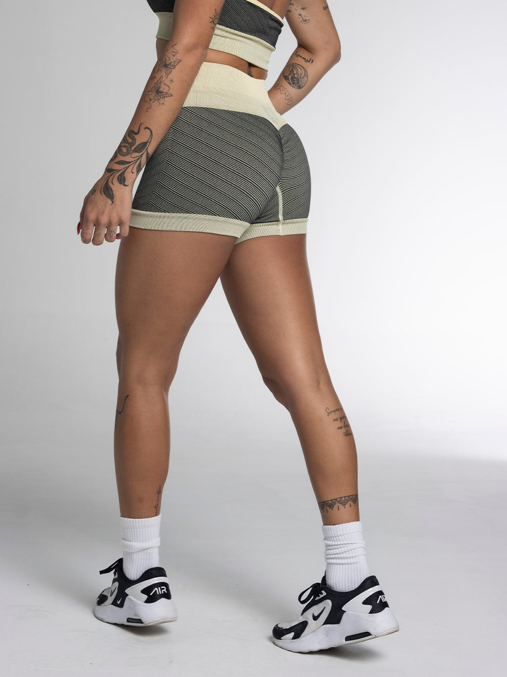 SET TERRA